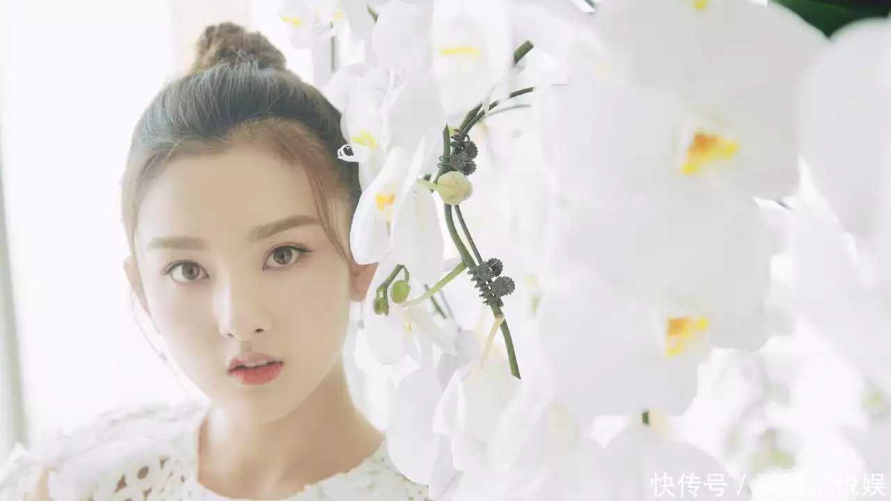 黑料网红明星,_电脑清理C盘教程_网红明星逃税事件分析