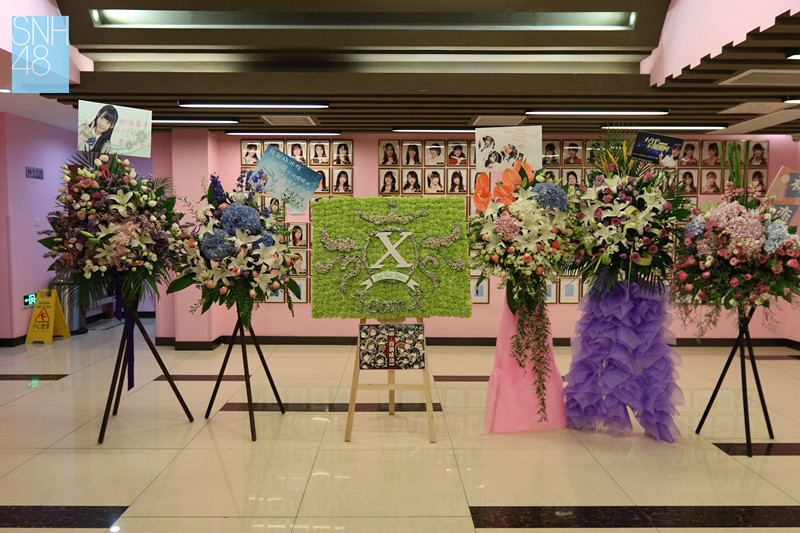 X队经典曲目全新演绎_SNH48X队出道三周年纪念公演季_Snh48夜蝶mv免费观看高清版